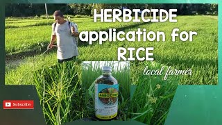 HERBICIDE Application for RICE [upl. by Enilram]