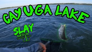 Cayuga Lake x Slay Nation Live event 3 [upl. by Bijan519]