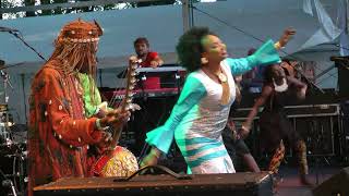 Oumou Sangaré  Djoukourou  LIVE at Afrikafestival Hertme 2017 [upl. by Abehsile]