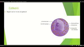 Klas 4 VWO Thema 1 Inleiding in de biologie basisstof 4 organellen deel 1 [upl. by Ariad398]