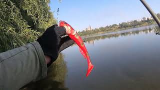 Goby Shad Savage Gear Карьер в городе [upl. by Sirromaj]