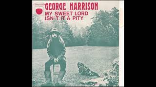 George Harrison  Isnt It A Pity 1970 [upl. by Aihsatsan]