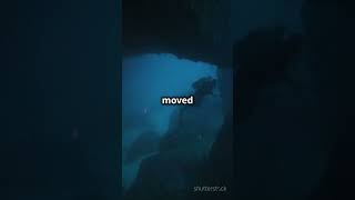 Terrifying Scuba Dive Only One Survivor [upl. by Idnim]