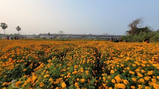 Khirai Flower Garden  Khirai One Day Trip from Kolkata  Khirai Flower Valley [upl. by Irej]