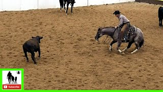 Cutting Horses Class 56 Final  2020 Metallic Cat West Texas Futurity [upl. by Les]