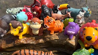 Wild Zoo Animal Toys Being Shown in Outdoors [upl. by Vacla503]