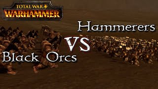 Black Orcs vs Hammerers  Total War Warhammer  1v1 Unit Battles [upl. by Neille]