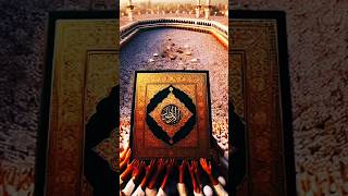 Quran Sharif ki tilawat video [upl. by Garvin509]