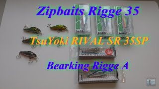 ОБЗОР и СРАВНЕНИЕ Zipbaits Rigge 35 TsuYoki RIVAL SR 35SP и BEARKING RIGGE A [upl. by Abe]