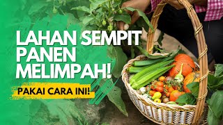 URBAN FARMING DI UJUNG BERUNG KOTA BANDUNG [upl. by Tezil491]