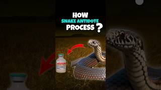 Antivenom Making Process  Horse vs Snake shorts snake antivenom [upl. by Adehsar467]