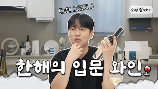 CCSUB 와인 초심자 주목📢 와인이 처음인데 뭐부터 마셔야 하나요 ㅣ한해의 입문 와인ㅣ와인 좀 한해 [upl. by Nnire]