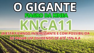 KNCA11  QUEDA FORTE E COM POSSÍBILIDADE DE ALTOS GANHOS [upl. by Leno]