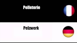 TRADUCTION  ALLEMAND  FRANCAIS  Pelzwaren [upl. by Ymme604]