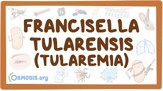 Francisella tularensis Tularemia  an Osmosis Preview [upl. by Nasar]