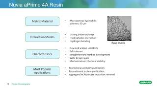 AAV Purification Using AEX and MixedMode Chromatography [upl. by Annirtak]