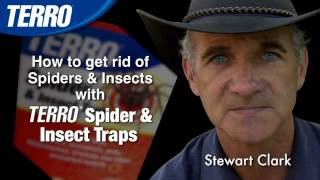 Get Rid of Spiders with TERRO Spider and Insect Trap [upl. by Scribner]