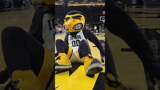 Iowa Hawkeye Tumbling Team Tumbles At Carver hawkeyes [upl. by Cher]