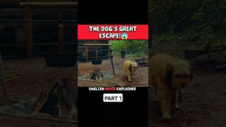 THE DOGS GREAT ESCAPE😱 movie film shorts [upl. by Airalednac786]