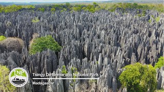 Exploring Tsingy de Bemaraha National Park  Wildlife Photography amp 4K Drone Footage [upl. by Ilat]