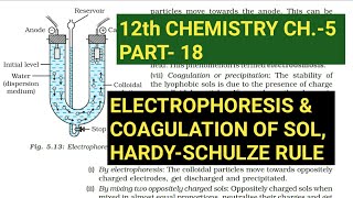 12th Chemistry Ch5Part18Electrophoresis amp Coagulation of solHardySchulze ruleStudy with Farru [upl. by Ahsiyt]