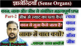 ज्ञानेंद्रियां  Sense Organs in Hindi  Skin Ear Nose Eye TongueSense Organ kya hote haiARSH GS [upl. by Obel762]