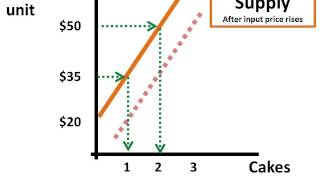 Changes in Input Prices [upl. by Haze]