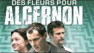 DES FLEURS POUR ALGERNON 🐭  LE FILM 🎥 [upl. by Any]