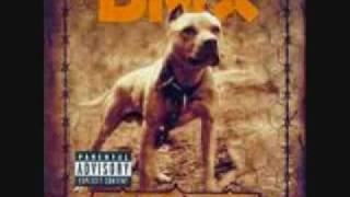 dmx my life [upl. by Gladine]