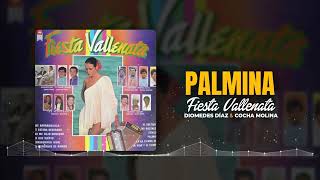 Palmina  Fiesta Vallenata [upl. by Aiksa]