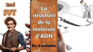 Lessentiel en 2 minutes sur la structure de la molécule dADN  SECONDE  SVT  adn seconde [upl. by Ynohtn217]