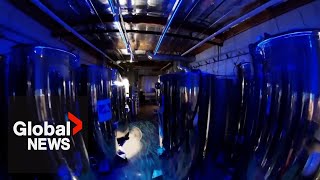 Inside a cryonics facility preserving terminallyill people and pets to wake up in the future [upl. by Eiralam617]