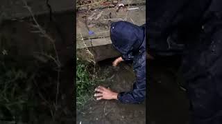 Unclog Culvert Drain While Raining culvert unclog drain shorts [upl. by Thelma]