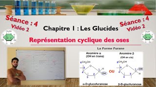 Séance 4  Vidéo 2  cyclisation des aldoses  formation de furanoses [upl. by Laikeze]