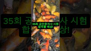 35회 공인중개사 시험 합격률 예상 난이도 [upl. by Alegnatal]