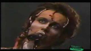 Adam and the Ants quotAntz Invasionquot  Live on Project Placebo [upl. by Giwdul239]