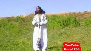 Ethiopian Traditional Music [upl. by Nairbal]