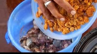 How to Make Fish Amino Acid Fertilizer Malayalam [upl. by Maker]