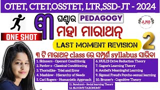 Pedagogy maha Marathon no 2 All Therories in one VDO [upl. by Hillie142]