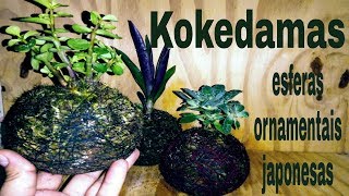 KOKEDAMA  Fácil de fazer [upl. by Llertnom]