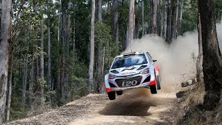 Hyundai i20 WRC onboard  Chris Atkinson [upl. by Euridice62]