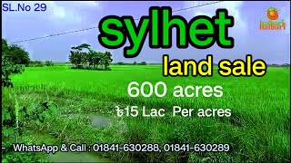 সিলেট শহরের কাছে ৬০০ একর জমি বিক্রি হবে Sylhet land price  hatbari properties [upl. by Golub]