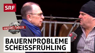 Wermelingers Scheissfrühling  Giacobbo  Müller  Comedy  SRF [upl. by Bach]