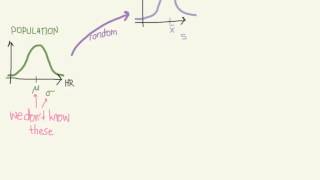 Estimation and Confidence Intervals [upl. by Essilec521]