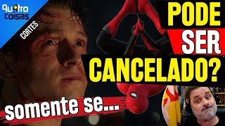 HOMEM ARANHA 4 PODE SER CANCELADO SE [upl. by Anilocin794]