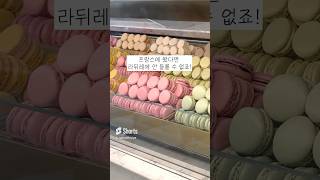 🇫🇷파리 라뒤레 마카롱 맛은 다를까 [upl. by Riana]