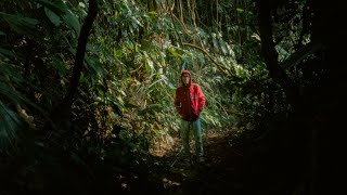 IN TO THE WILD  Cinematic Video  Sony a7iii  Sigma 35mm  Juel [upl. by Feola]