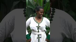 atse Tewodrosteddy afronew Amharic music 2024 [upl. by Reina481]