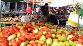 feira livre Venturosa Pe291024 [upl. by Llecram845]