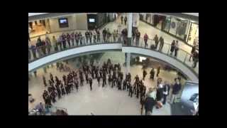 An unforgettable flash mob sings [upl. by Jemimah238]